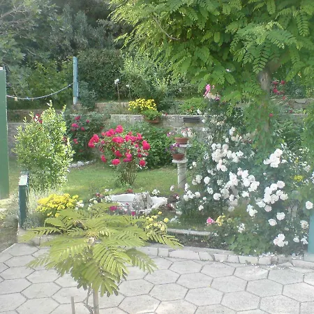 Jokic - Family Only Daire Pag Town