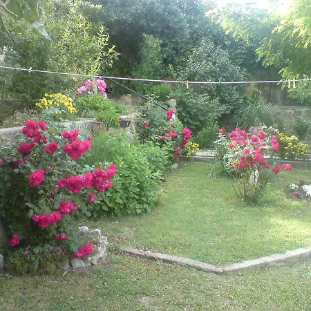 Daire Jokic - Family Only